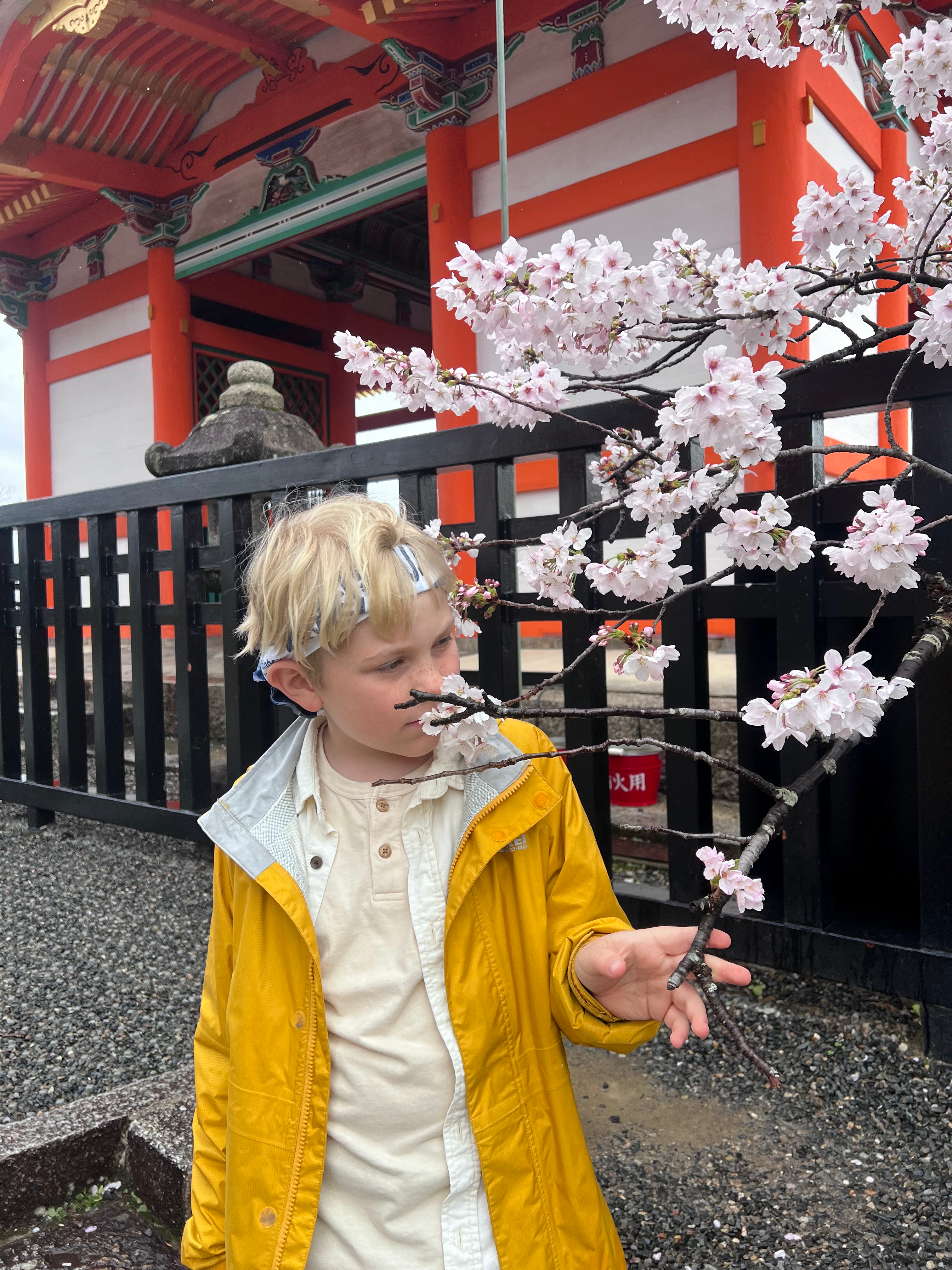 Cobblestone Sannenzaka street in Kyoto lined with wooden shopfronts and lanterns